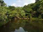 湖光