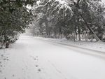 大雪封路