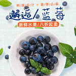 小清新蓝莓水果食品零食