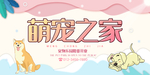 宠物