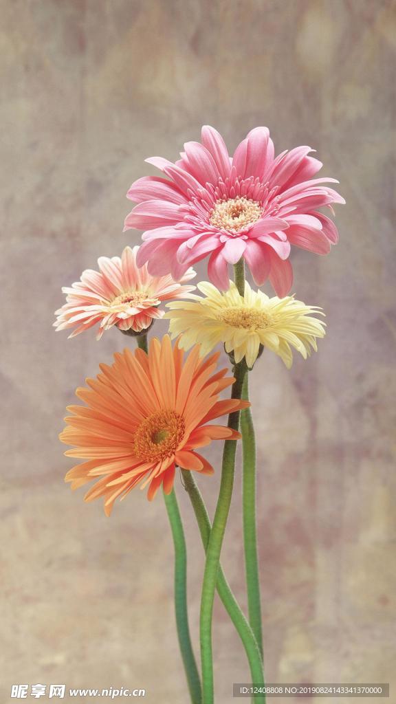花束