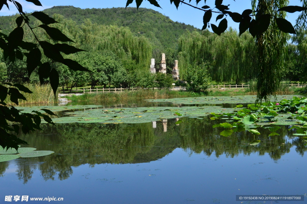 植物园风景