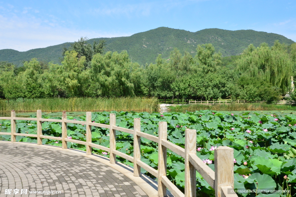 植物园风景