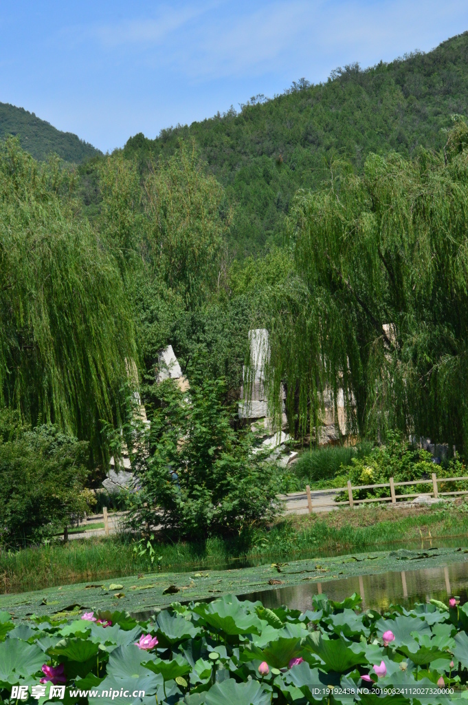 植物园风景