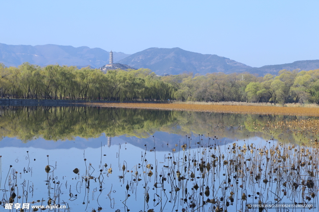 颐和园风景