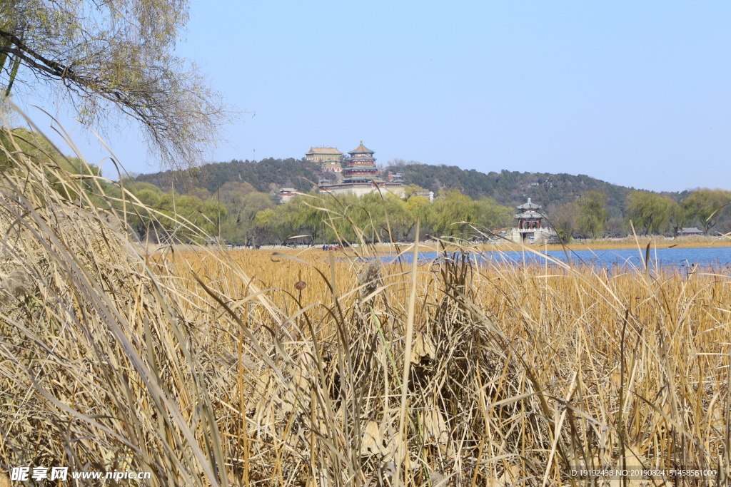 颐和园风景