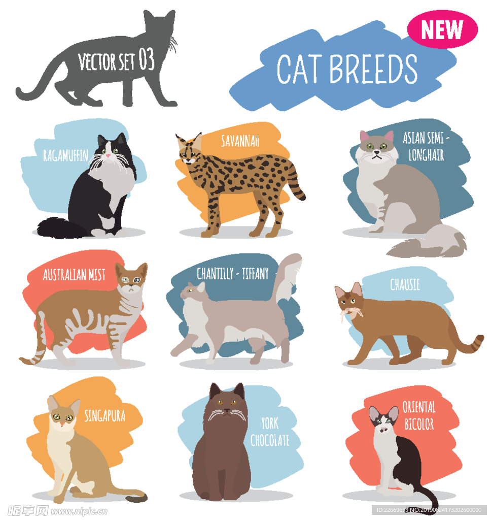 卡通猫