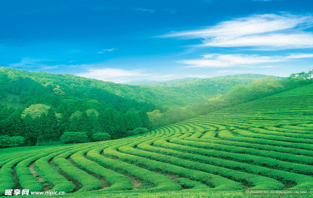 靓丽风景