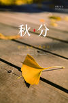 秋分