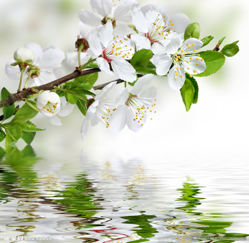 鲜花