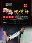 鱼简介