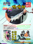 鱼传单简介
