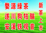 新茶上市