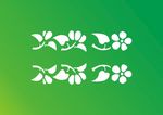 花边花纹