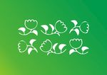 小白花