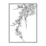 迎春花