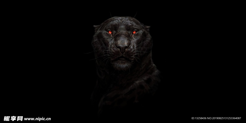 黑色猎豹插画背景