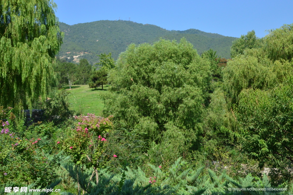 西山风景