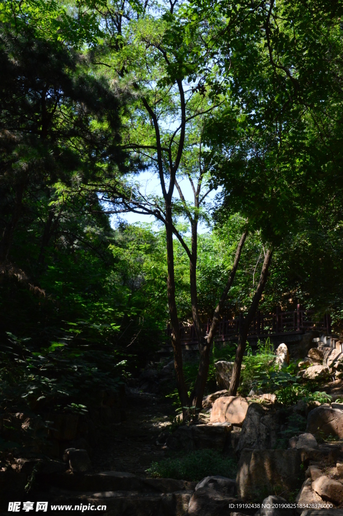 西山风景