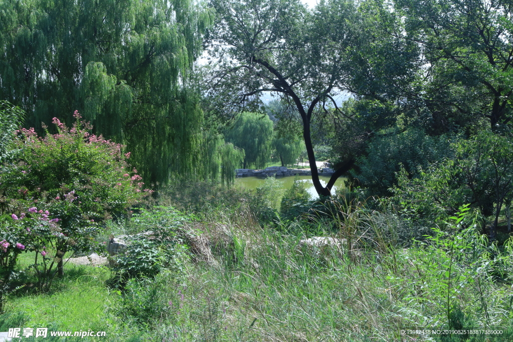 西山风景