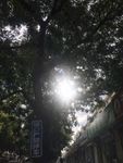 太阳