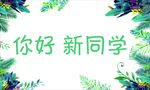 小清新幼儿园开学版面
