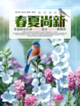 夏季海报