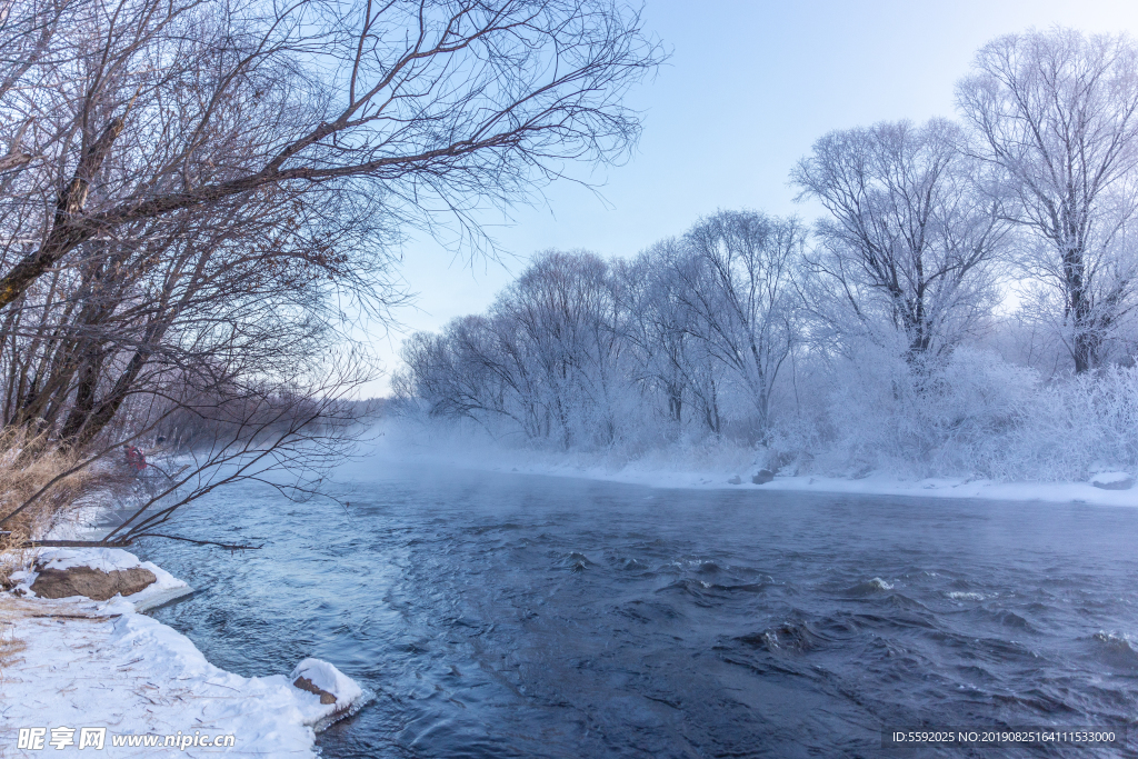 北方黑龙江黑河冬季树木河流雪景