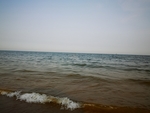 浪花