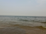 海