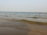浪花