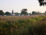 风景