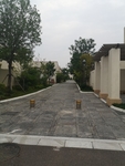 道路