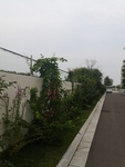 院墙
