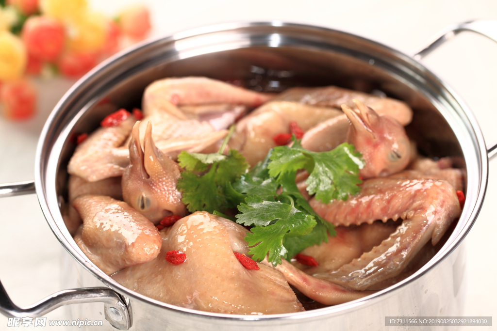 鸽子煲