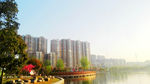 风景