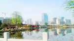 公园风景
