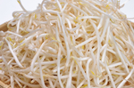 豆芽