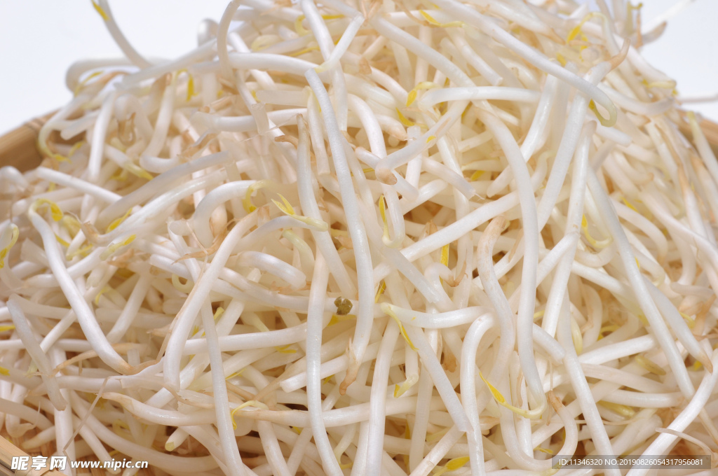豆芽