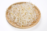 豆芽