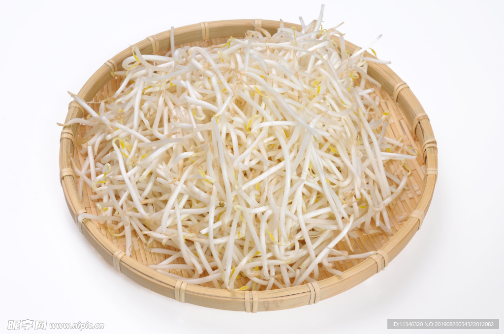 豆芽