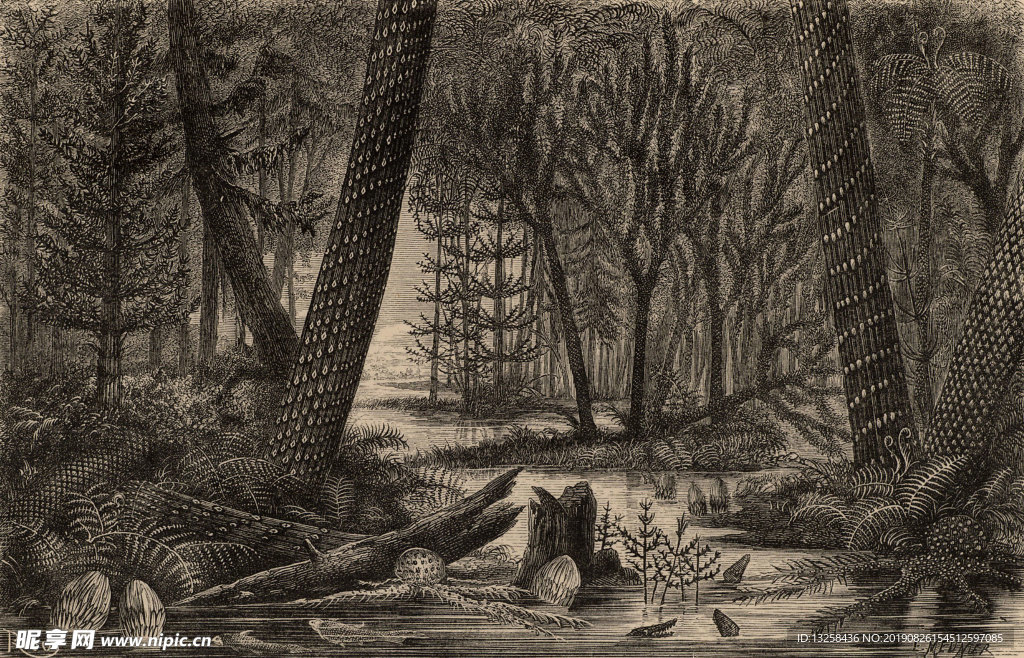 森林河流植物插画背景