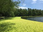 华家池