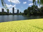 华家池