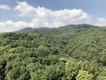铁塔