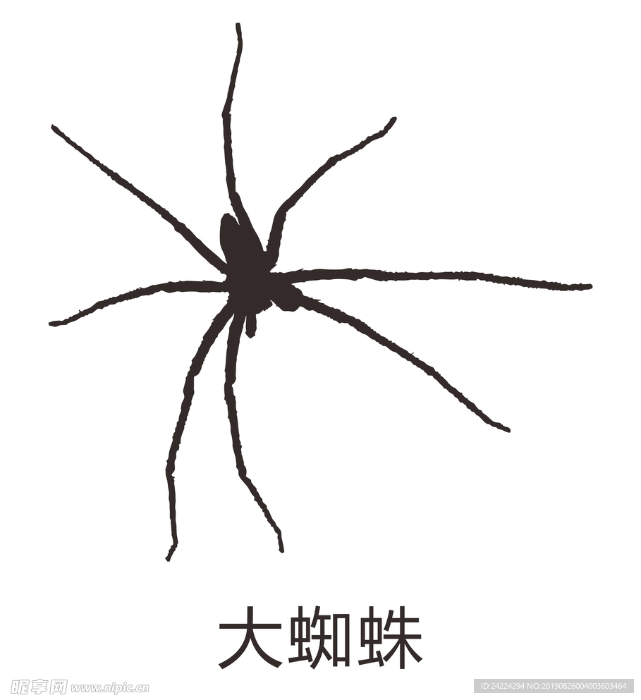 大蜘蛛