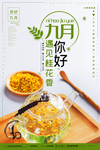 九月文艺海报