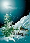 冬季雪松