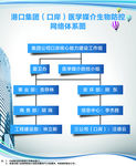企业工作分布树状图