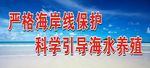 保护海岸线标语